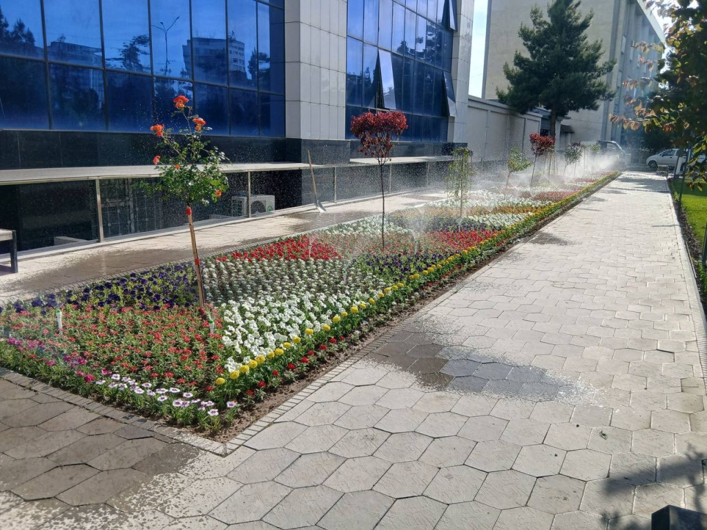 Image-5 (1).jpg Image-5 (1).jpg